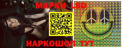 крисы Шахты