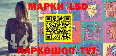 крисы Шахты