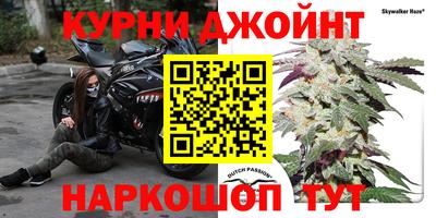 крисы Шахты