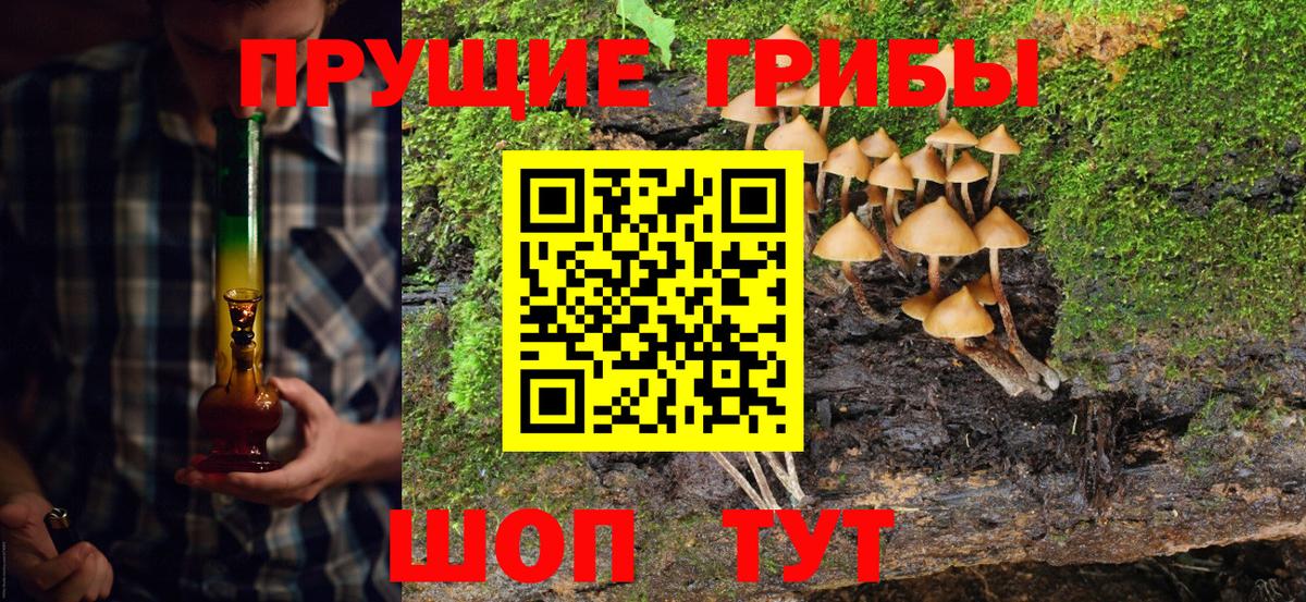 Гатчина  Галлюциногенные грибы прущие грибы  закладки  Вход с VPN 
