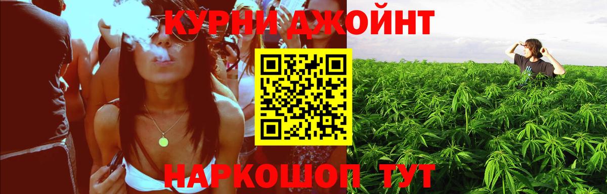 Гатчина  Конопля AK-47  Вход с VPN  Каннабис индика  Марихуана OG Kush 